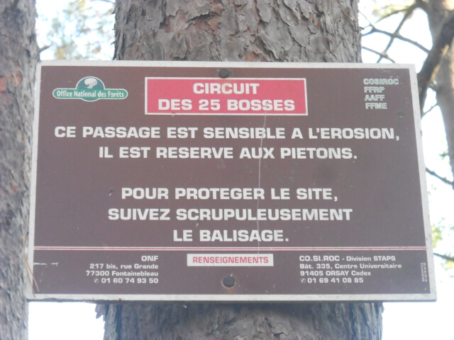 2015-08-26-noisy-sur-ecole (08)