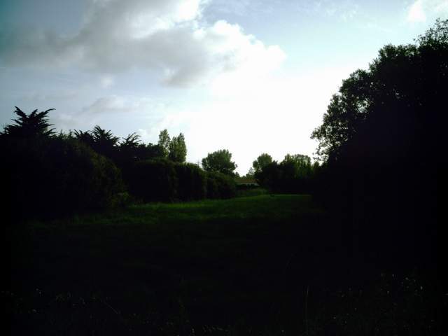 2007-07-27 (00)