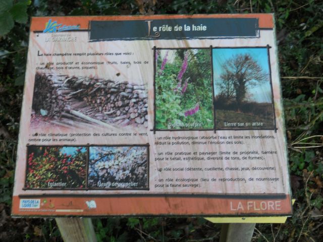 2014-10-26-la-garnache (06)