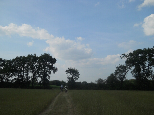 2014-07-26-la n yolaie (02)