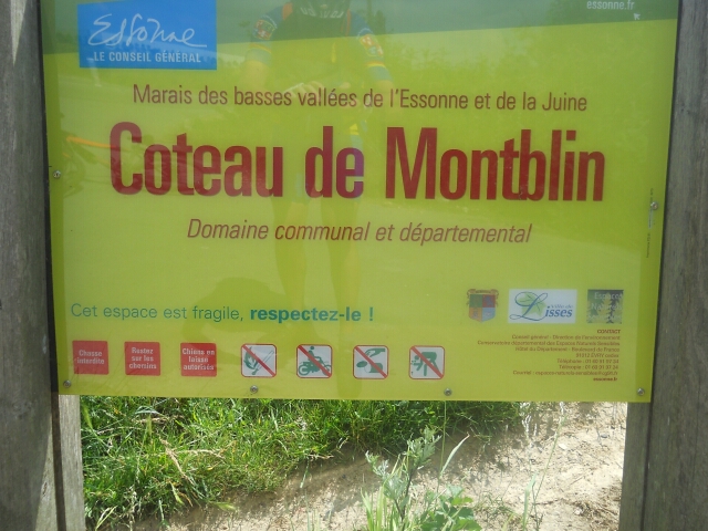 2014-06-14-bondoufle (12)