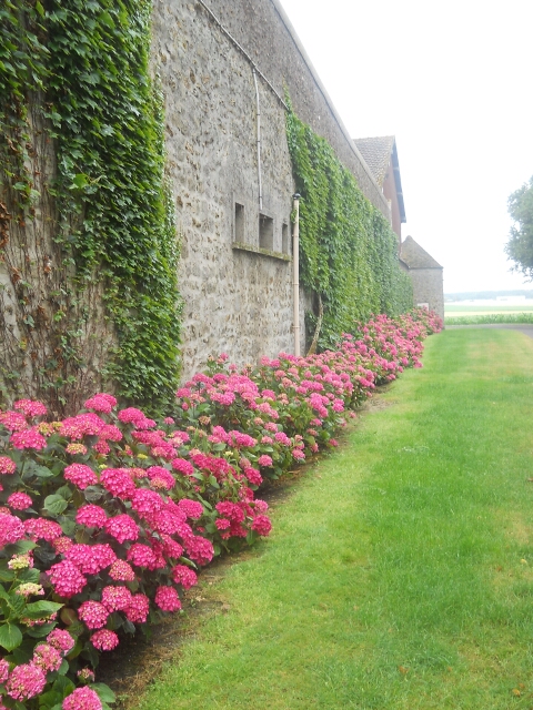 2014-06-29-verneuil-l etang (01)