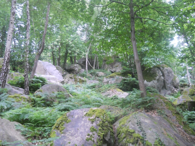 2014-07-06-maisse (03)