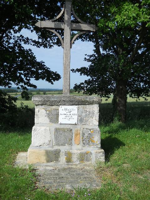 2012-06-02-ollainville (02)
