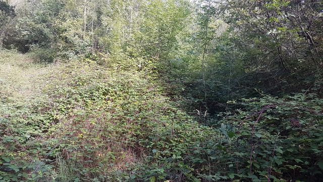 2017-08-01 saint-christophe-du-ligneron (14)