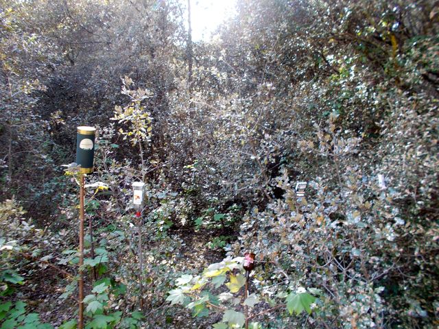 2018-04-21-saint-jean-de-monts (08)