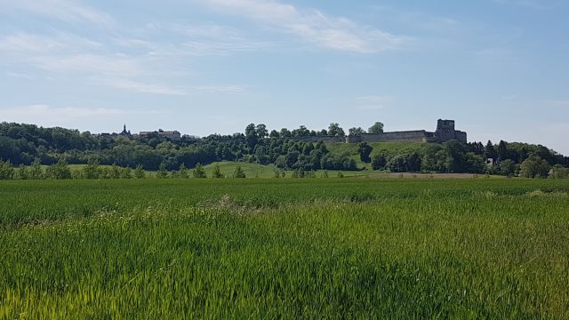 2018-05-12 - coucy-chateau-auffrique (35)