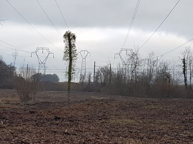 2018-12-31 - fontenay-le-vicomte (09)