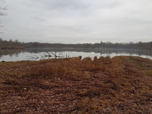 2018-12-31 - fontenay-le-vicomte (10)