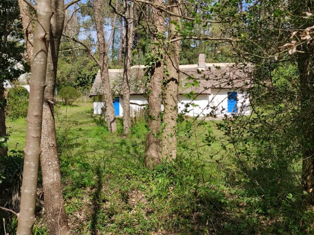 2021-04-08 - saint-jean-de-monts (02)