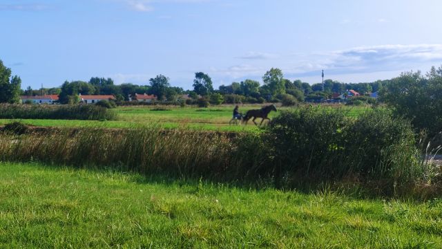2023-08-26 - saint-jean-de-monts (01)