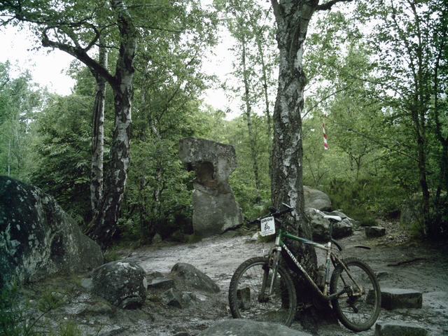2008-06-15 - andains (13)