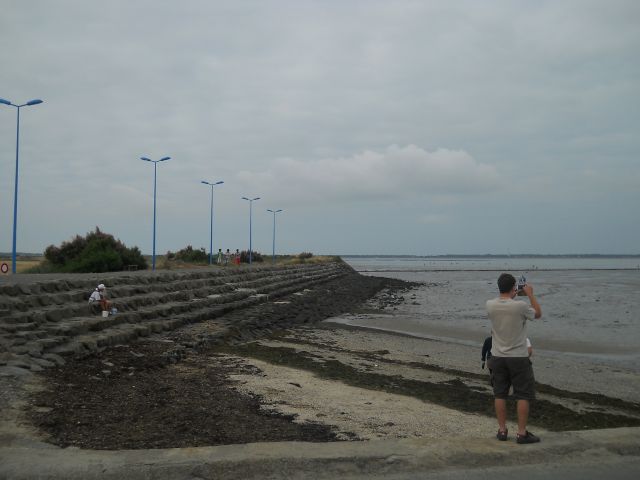 2014-07-30-beauvoir (05)