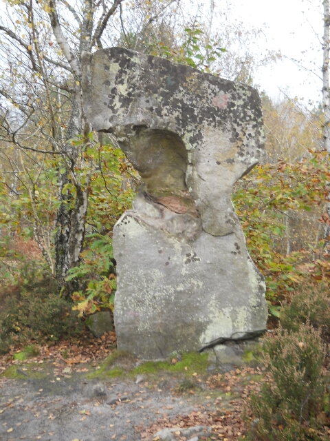 2014-11-09-mennecy (31)