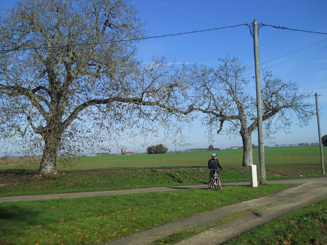 2014-11-11-etampes (14)