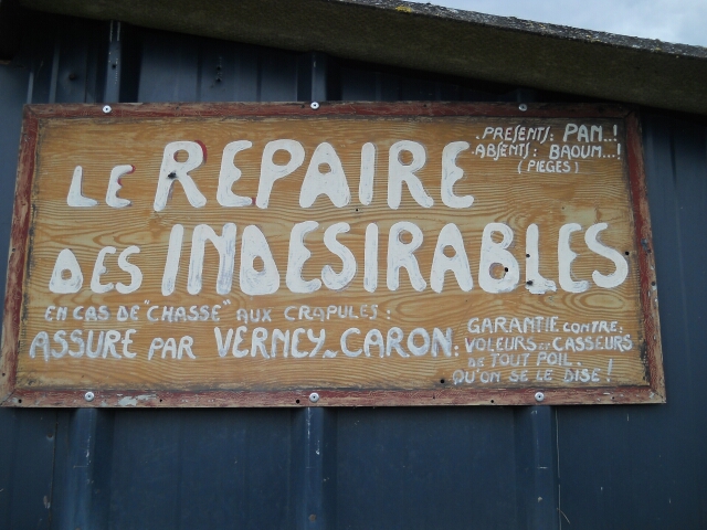 2014-05-29-azay-sur-indre (15)