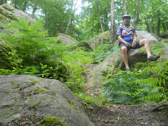 2014-07-06-maisse (02)