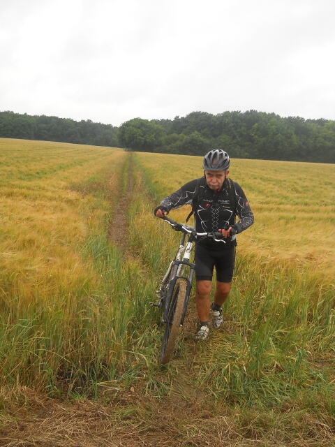 2014-07-06-maisse (06)