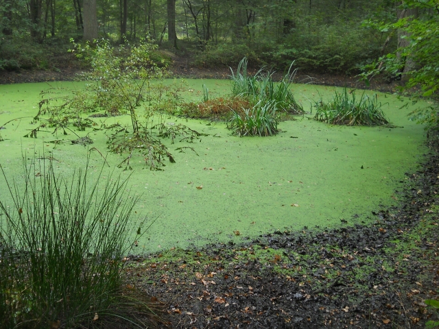2014-09-21-yerres (10)