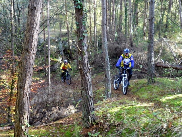 2014-11-11-etampes (09)