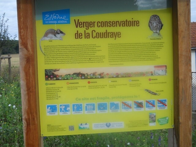 2014-08-17-bondoufle (15)