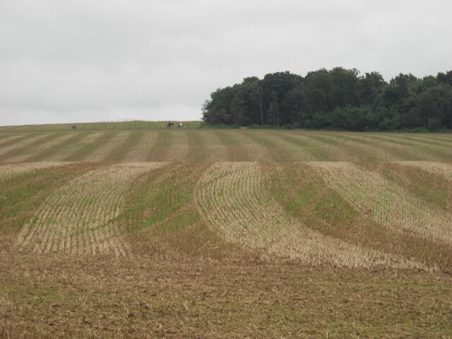 2014-08-15-vallery (23)