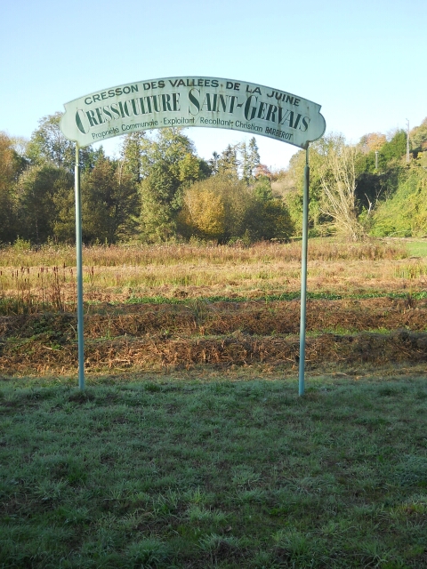 2014-11-01-mondesir (10)