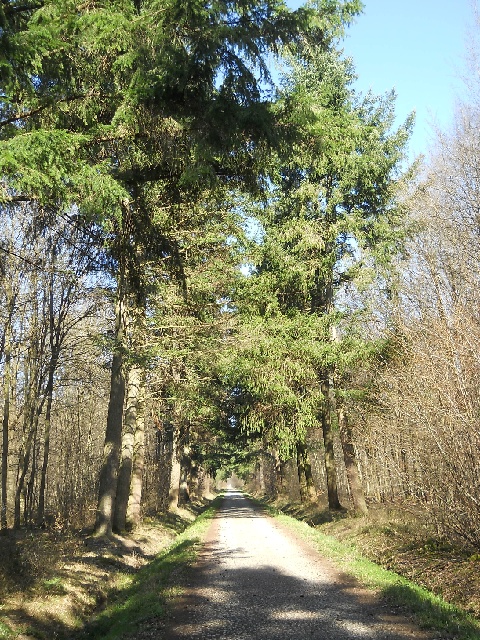 2014-03-09-ozoir-17