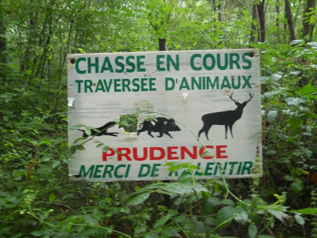 2014-08-15-vallery (10)