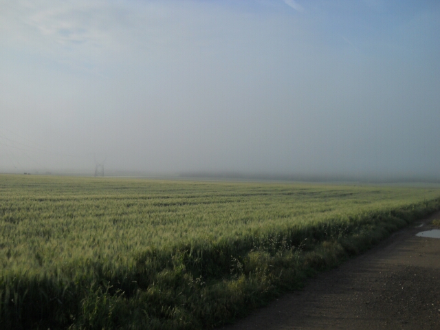 2014-05-25-la norville (01)