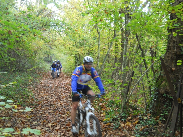2014-11-02-mondesir (09)
