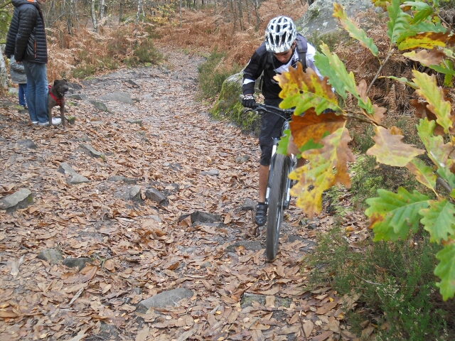 2014-11-09-mennecy (30)
