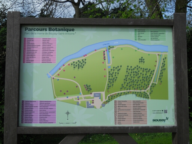 2014-04-06-moisseenne (02)