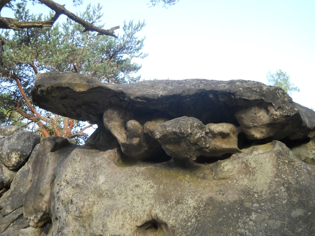 2015-09-02-le-vaudoue (18)