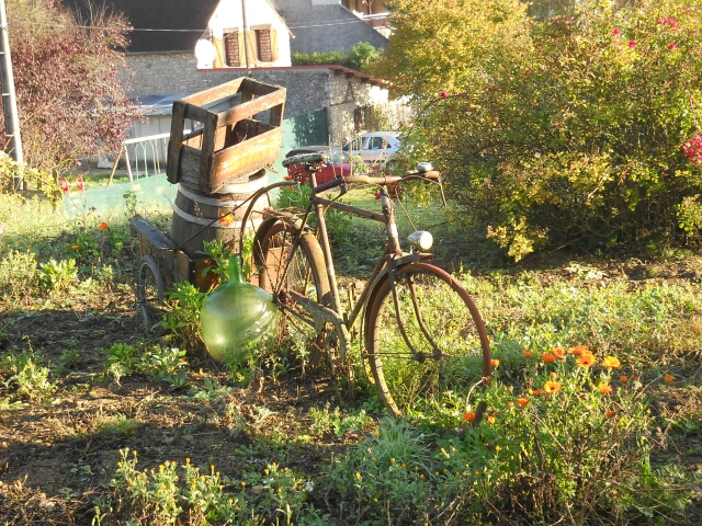 2014-11-01-mondesir (07)