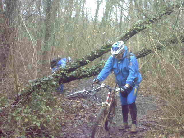 2005-02-12 Flechage 04
