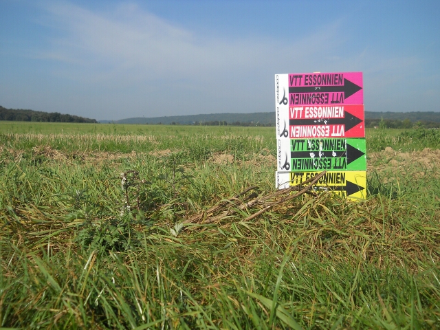 2014-09-15-janville-sur-juine (12)