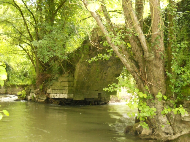 2014-05-29-azay-sur-indre (13)
