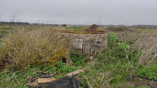 2022-02-22 - saint-hilaire-de-riez (02)
