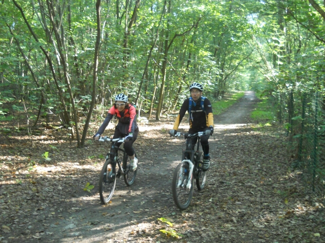 2015-09-27- vert-saint-denis (10)