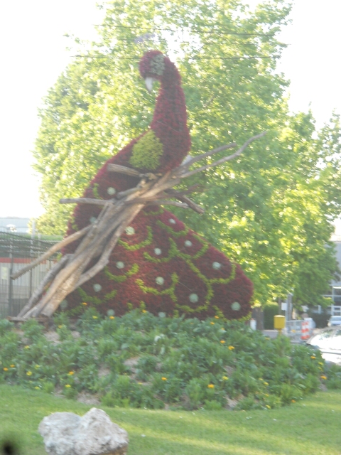 2015-06-06-fontainebleau (51)