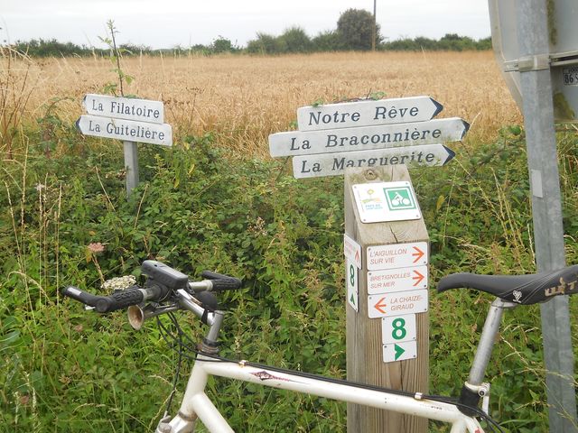 2015-07-15 la-roche-sur-yon (07)