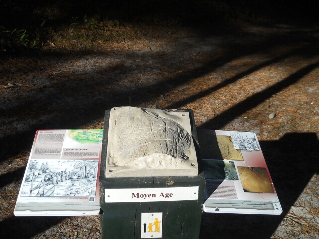 2015-08-26-noisy-sur-ecole (28)