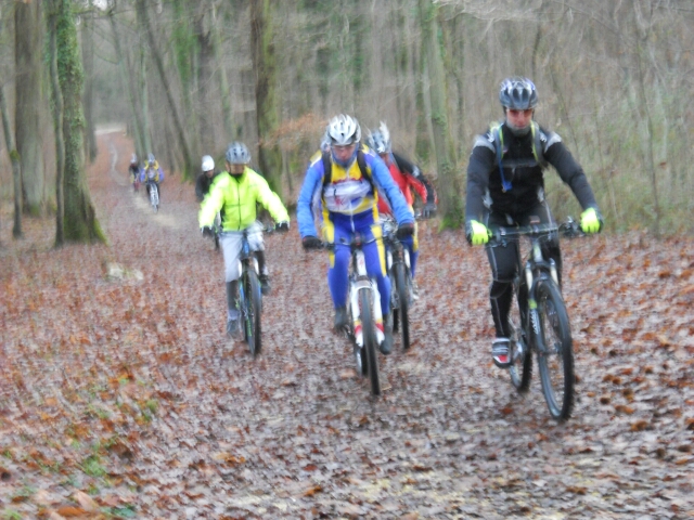 2015-01-04-champcueil (01)