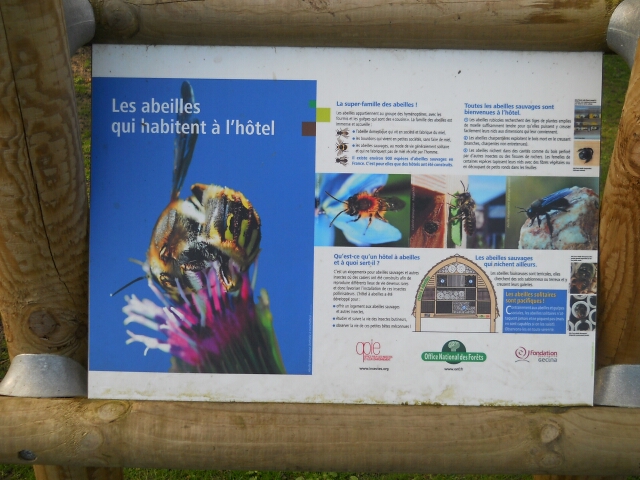 2015-04-05-bondoufle (02)