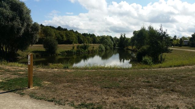 2015-08-14-bondoufle (25)