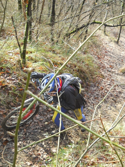 2015-01-04-champcueil (15)