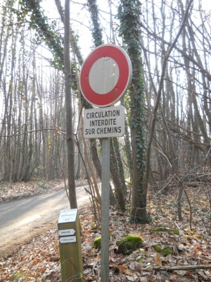 2015-02-06-limours (08)