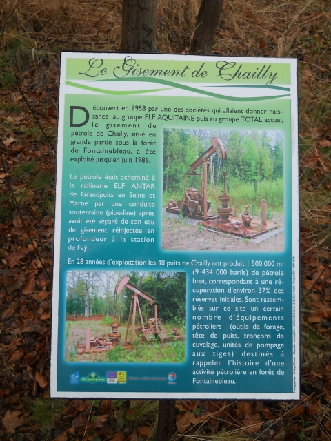 2015-02-08-dammarie-les-lys (02)