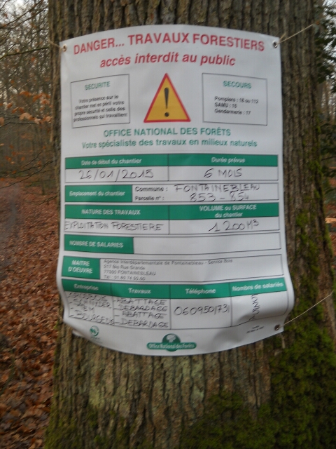 2015-02-08-dammarie-les-lys (06)